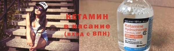 прущие грибы Горняк