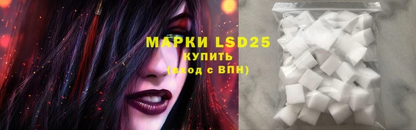 хмурый Вяземский
