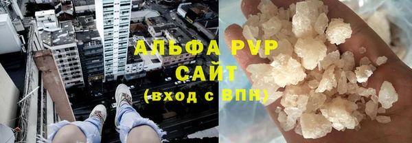 прущие грибы Горняк