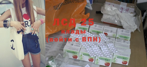 прущие грибы Горняк