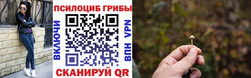Галлюциногенные грибы GOLDEN TEACHER  Купить закладки  Можайск 
